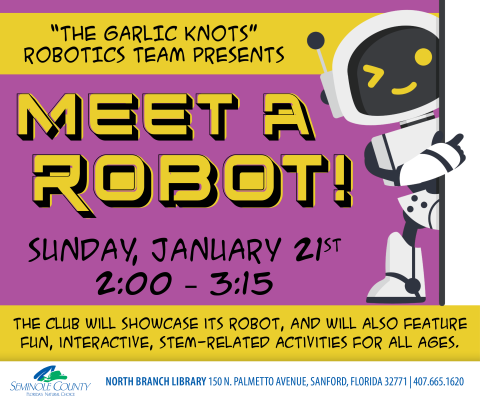 Meet a Robot - North