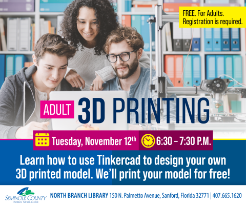 Adult 3D Printing program at North Branch Library