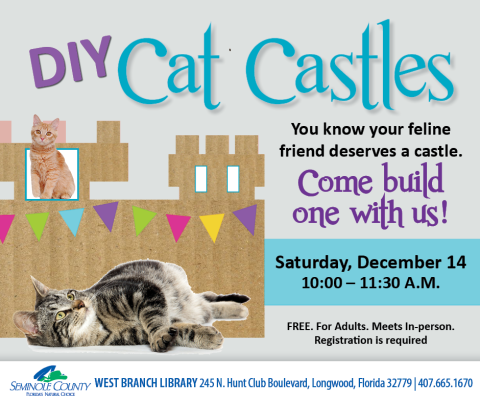 DIY Cat Castles Program at West Branch Library