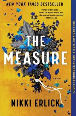 The Measure by Nikki Erlick