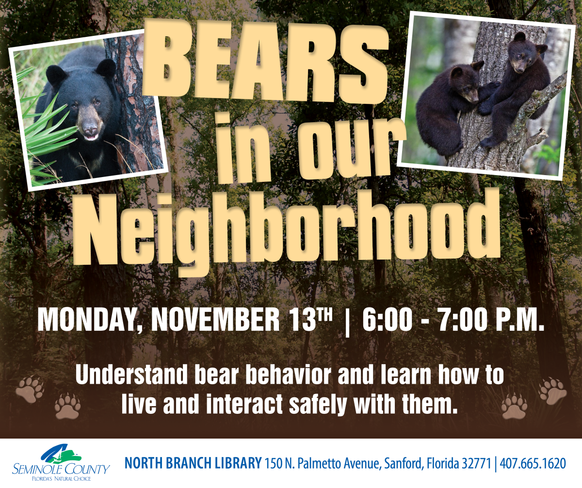 Bears in Our Neighborhood program at North Branch Library