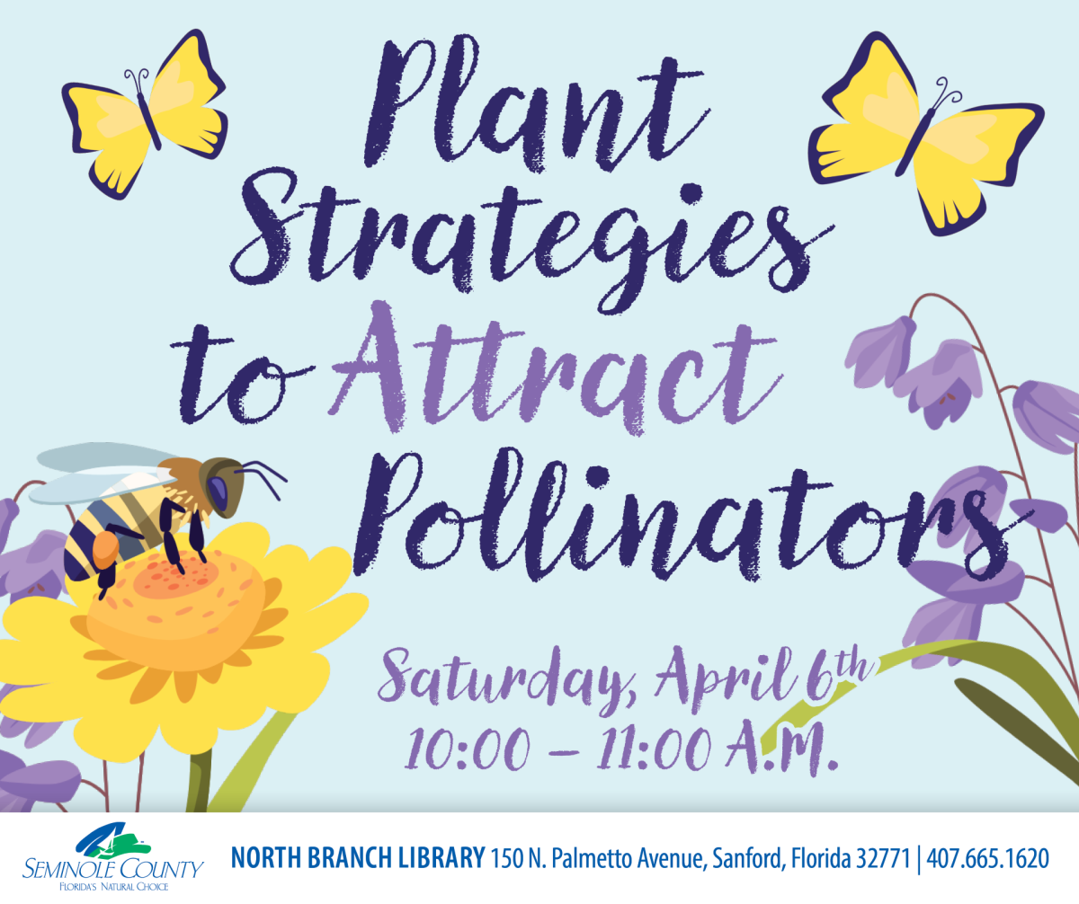 Plant Strategies to Attract Pollinators program at North Branch Library